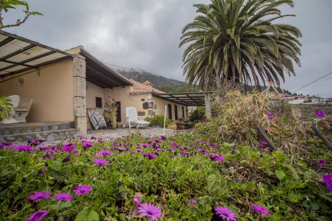 Finca with 3 flats ideal for tourist rental